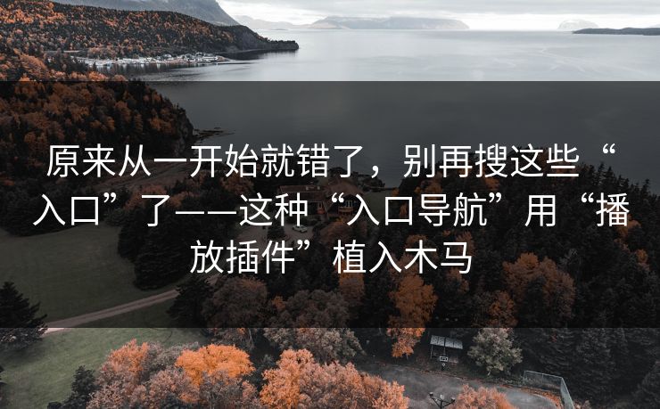 原来从一开始就错了，别再搜这些“入口”了——这种“入口导航”用“播放插件”植入木马